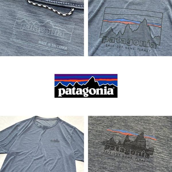 1点物◇パタゴニアPatagoniaバックプリント旧ロゴTシャツ古着LメンズXL