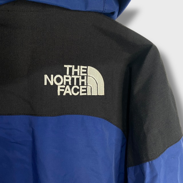 00s ザノースフェイス マウンテンガイドジャケット ゴアテックス ブルー XL