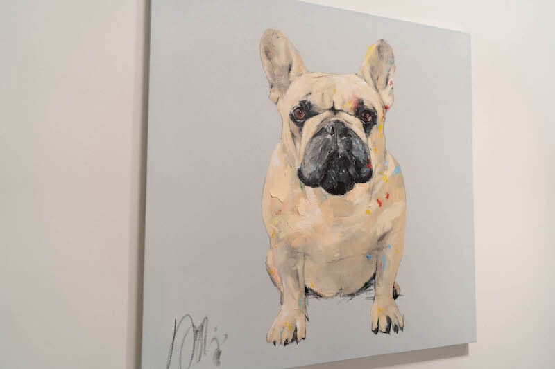 French bulldog / フレンチブルドック | TOMOYA OFFICIAL