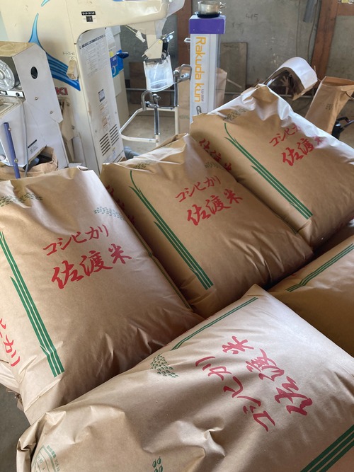 令和8年佐渡産コシヒカリ　5㎏・画像10