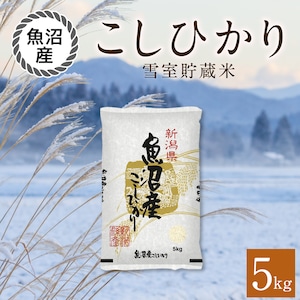 「日本を代表する米処」魚沼産こしひかり 5kg 精米済 【令和５年産】