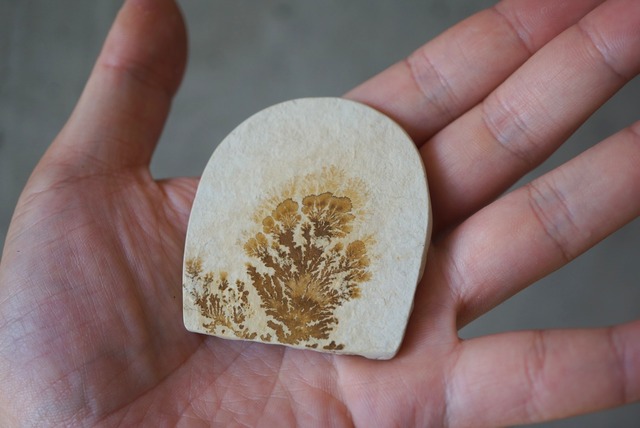 デンドライト 忍石 Dendritic limestone 1310