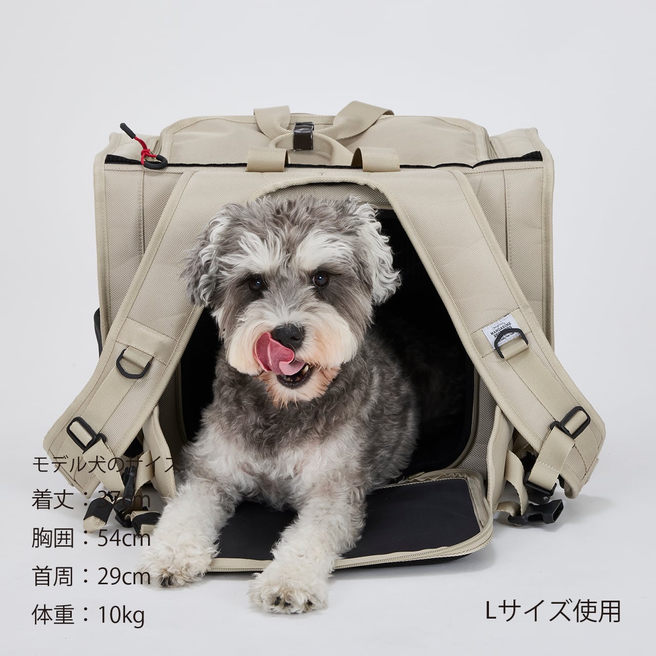 Renewal】BRIXTON CARRY BACKPACK −WIDE−（L）ブリクストンキャリー