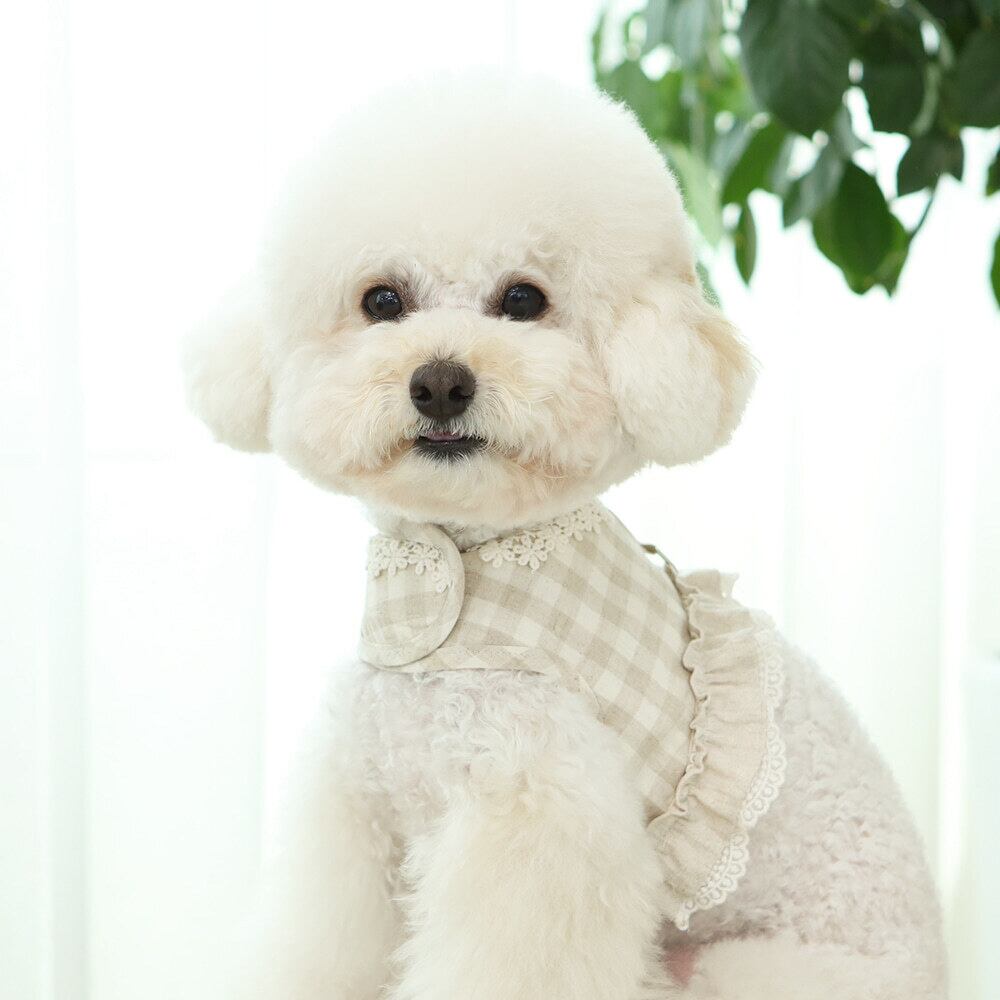 アトリエgg リネンダンガリー① Atelier gg リネンダンガリーシャツ