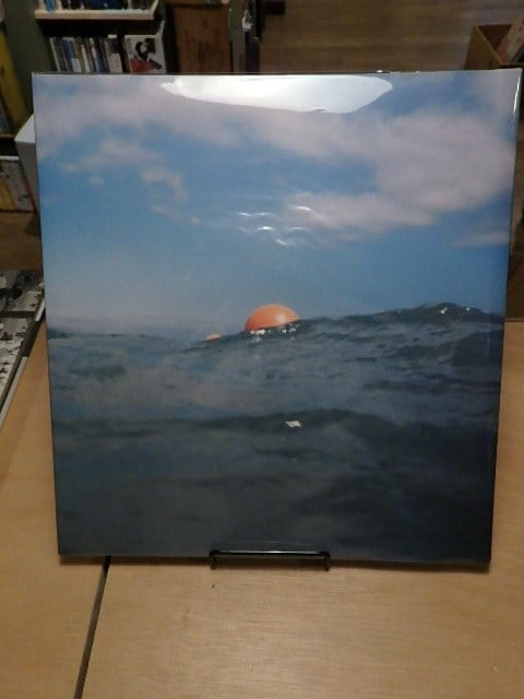 楢橋朝子　写真集　half awake and half asleep〜 half awake and half asleep in the water/Asako Narahashi 楢橋朝子