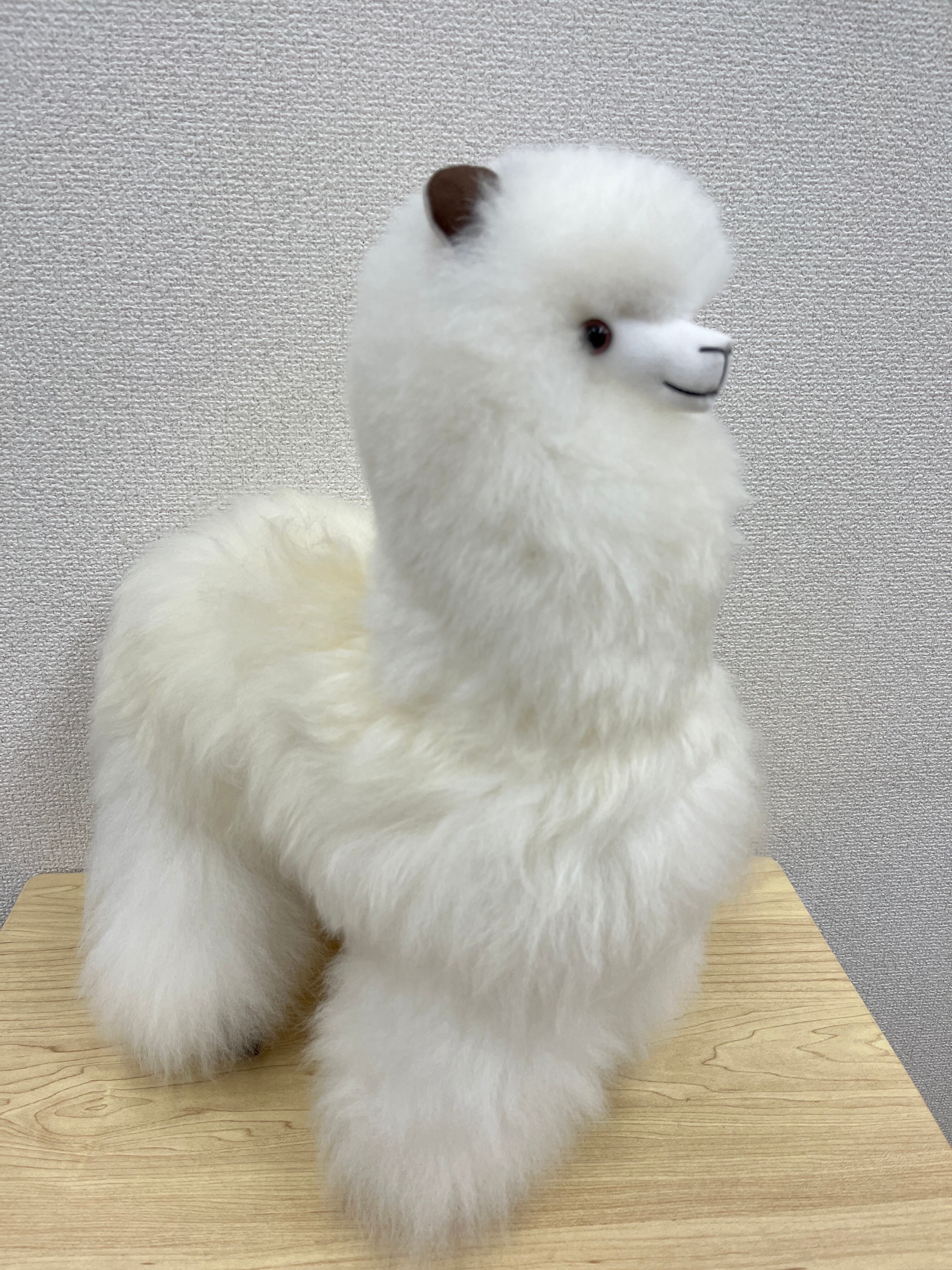 ベビーアルパカ毛ぬいぐるみ(プードル犬) アルパカ毛ぬいぐるみ犬ペルー