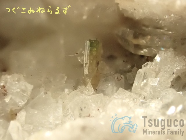 ヘソナイト・ガーネット 灰礬柘榴石 チェコ TM-069