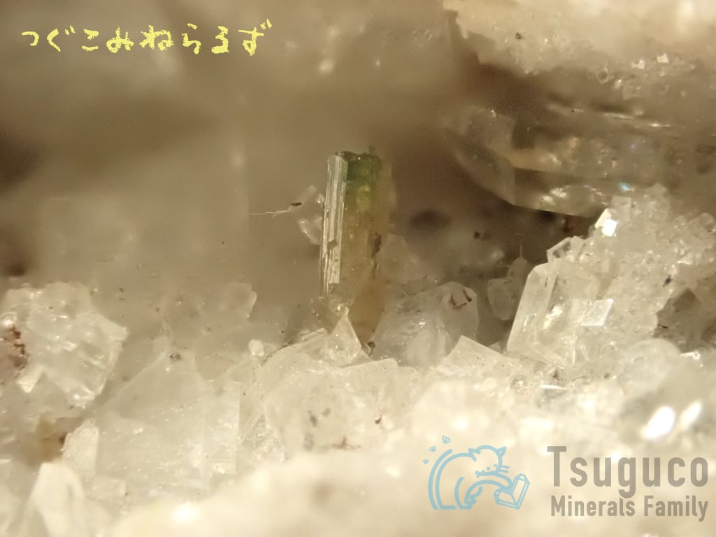 電気石 Tourmaline スイス TM-1122 Ex. Dr. Gerhard Jung