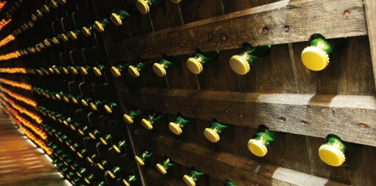 共栄堂 K25FY_CL（2025年冬_淡赤）