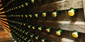 共栄堂 K25FY_CL（2025年冬_淡赤）