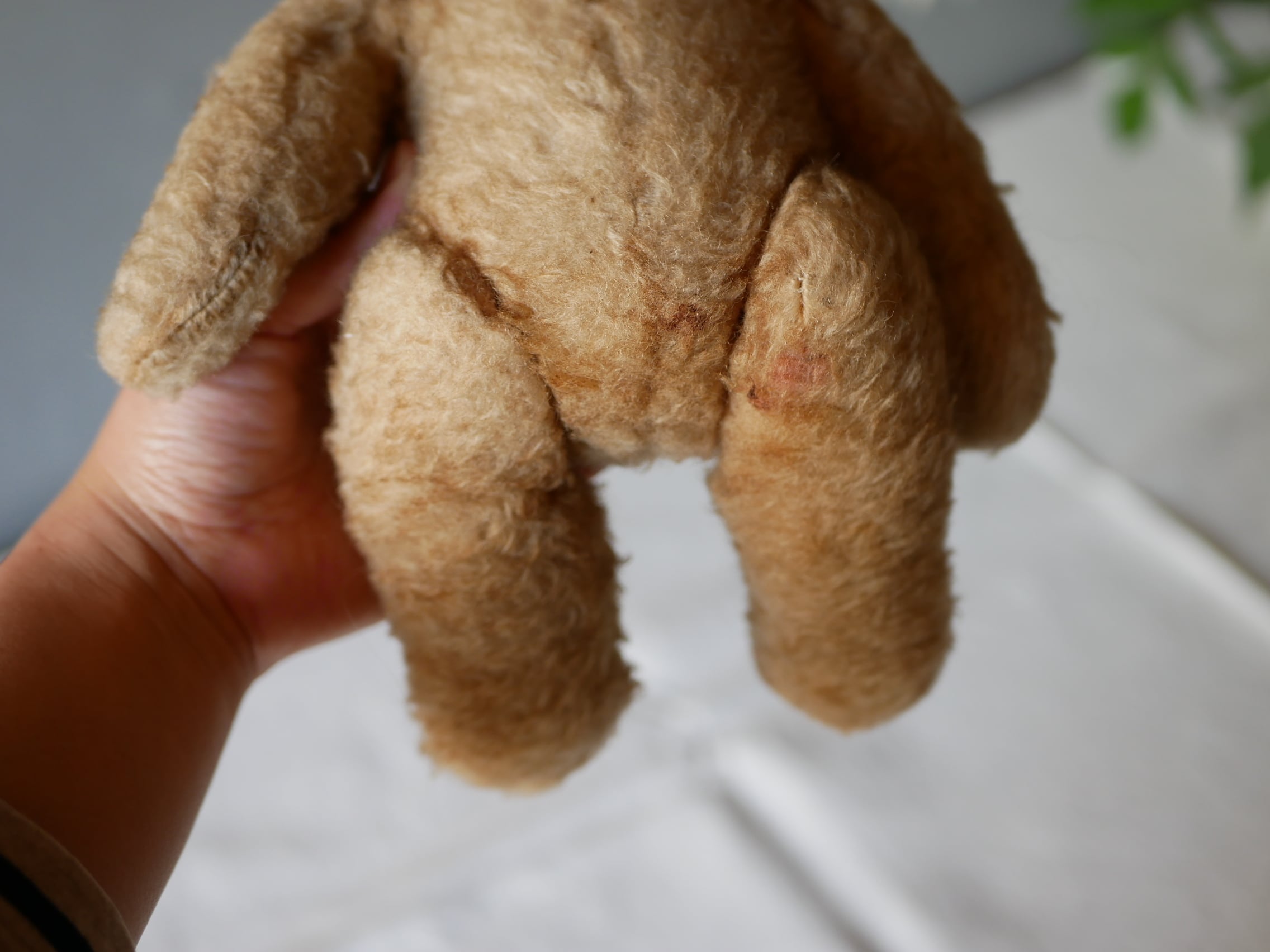 フランスアンティーク antique テディベア ブロカント fit=scale-down,w=1200