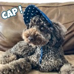 CAP！