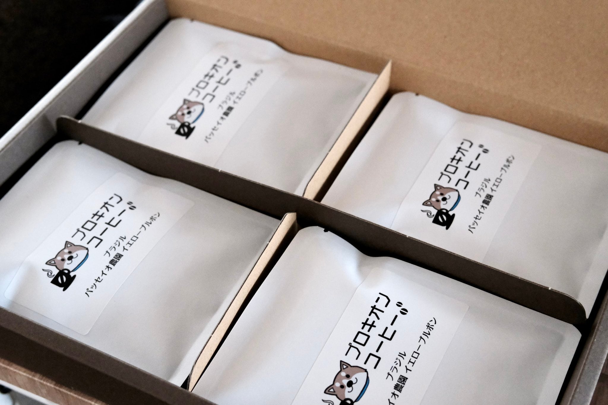 プロキオン4箱 【公式通販】