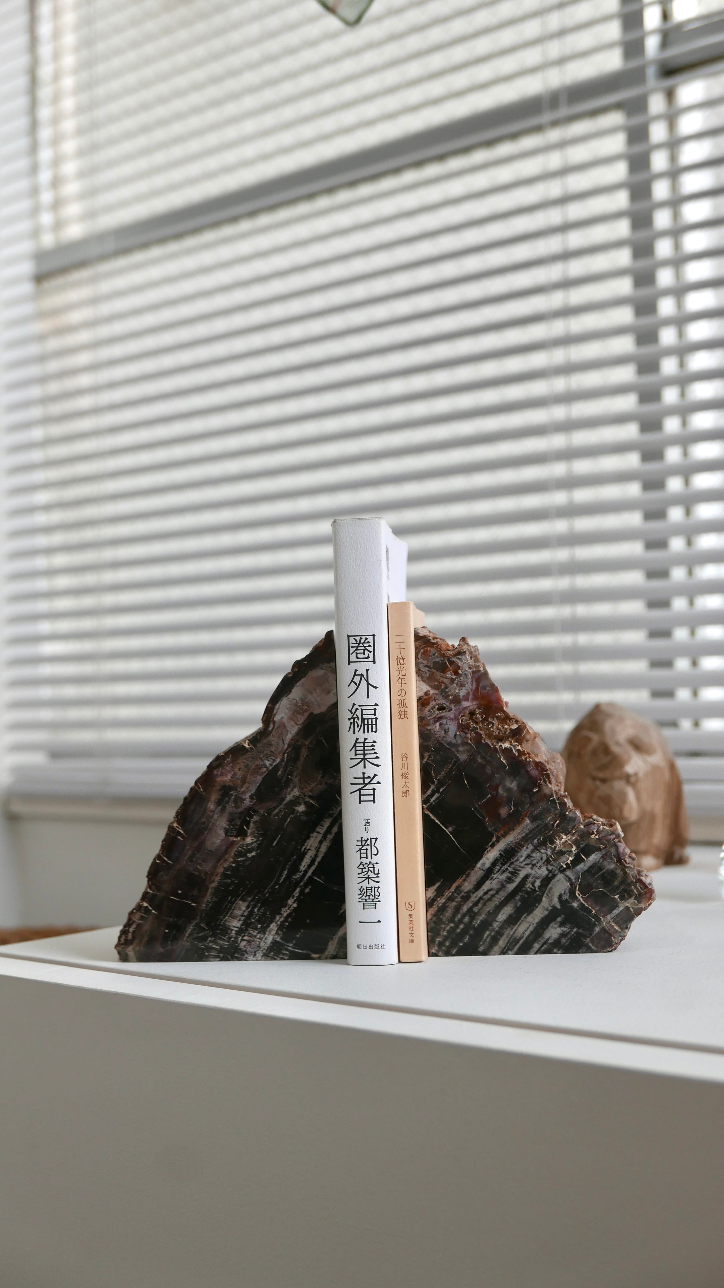 petrified wood bookends