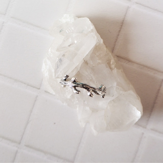 Driftwood Ring《silver925》18380023(S)★【9号/11号/13号】