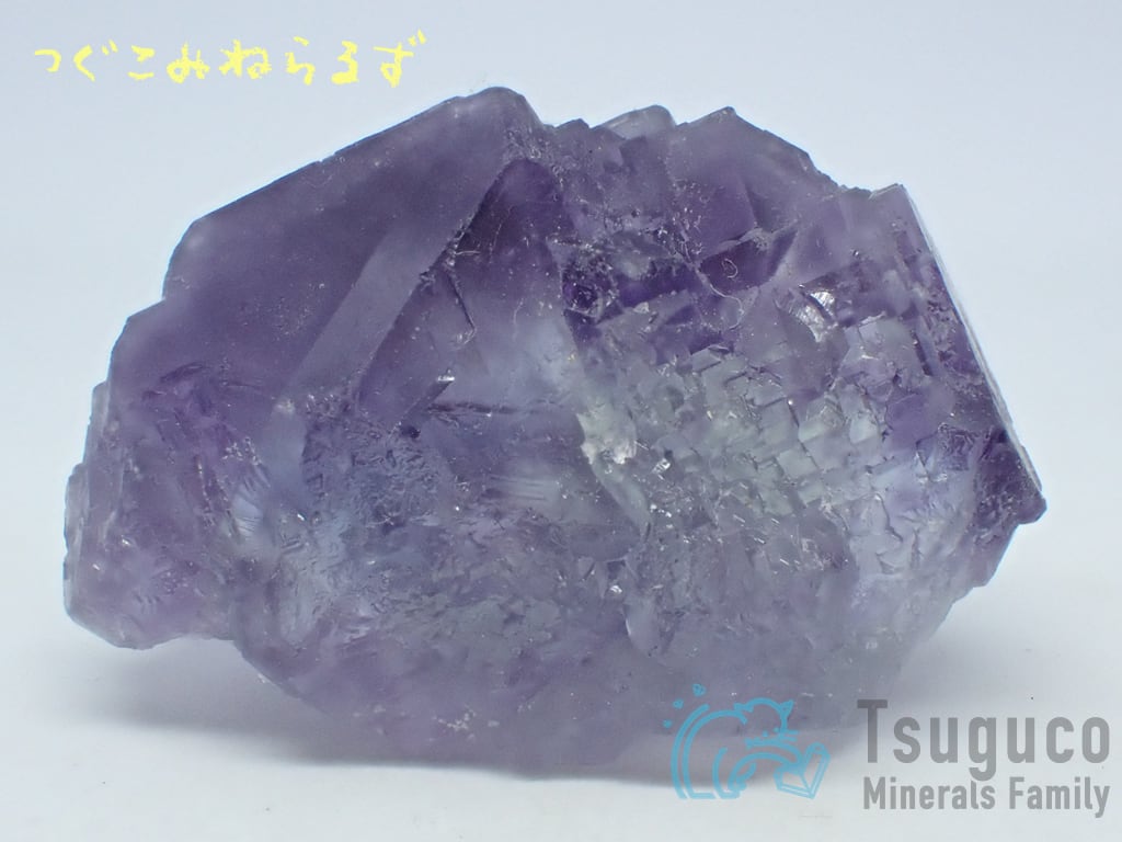 フローライト 蛍石 Fluorite 中国 TM-0009