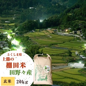 【新米】令和4年産 とくしま県上勝の棚田米 <田野々>　無農薬