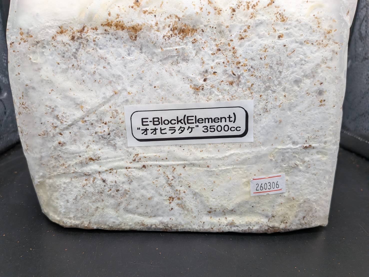 月夜野きのこ園製 E-Block（オオヒラタケ菌糸） | なかよしめだか