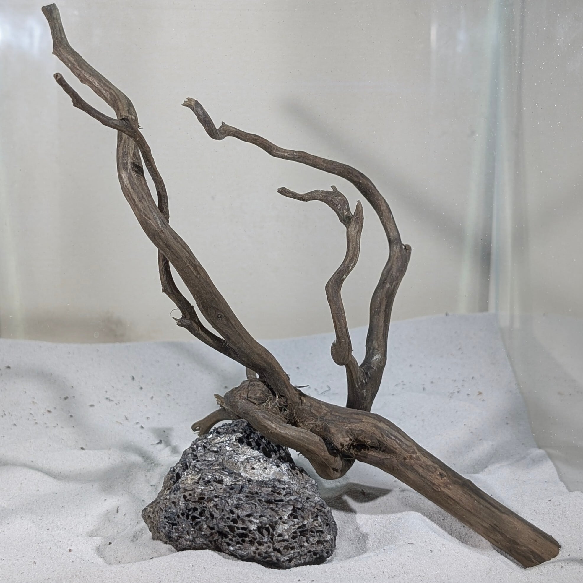 ペットの流木 水宗工房