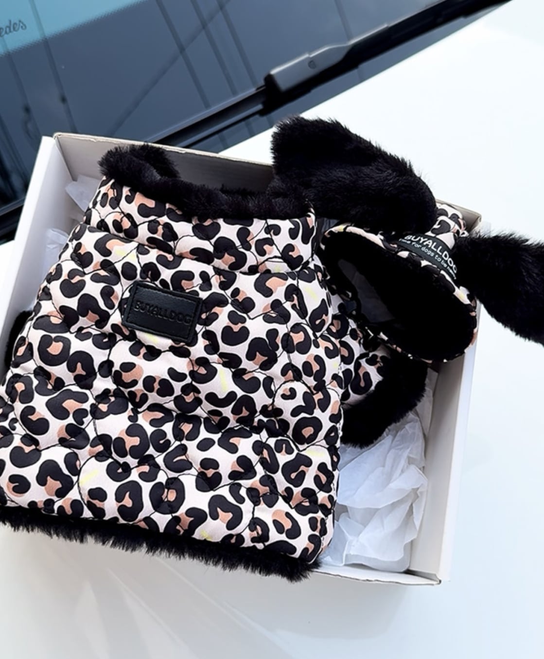 予約【buyalldog】Reversible Leopard Padding (Black)