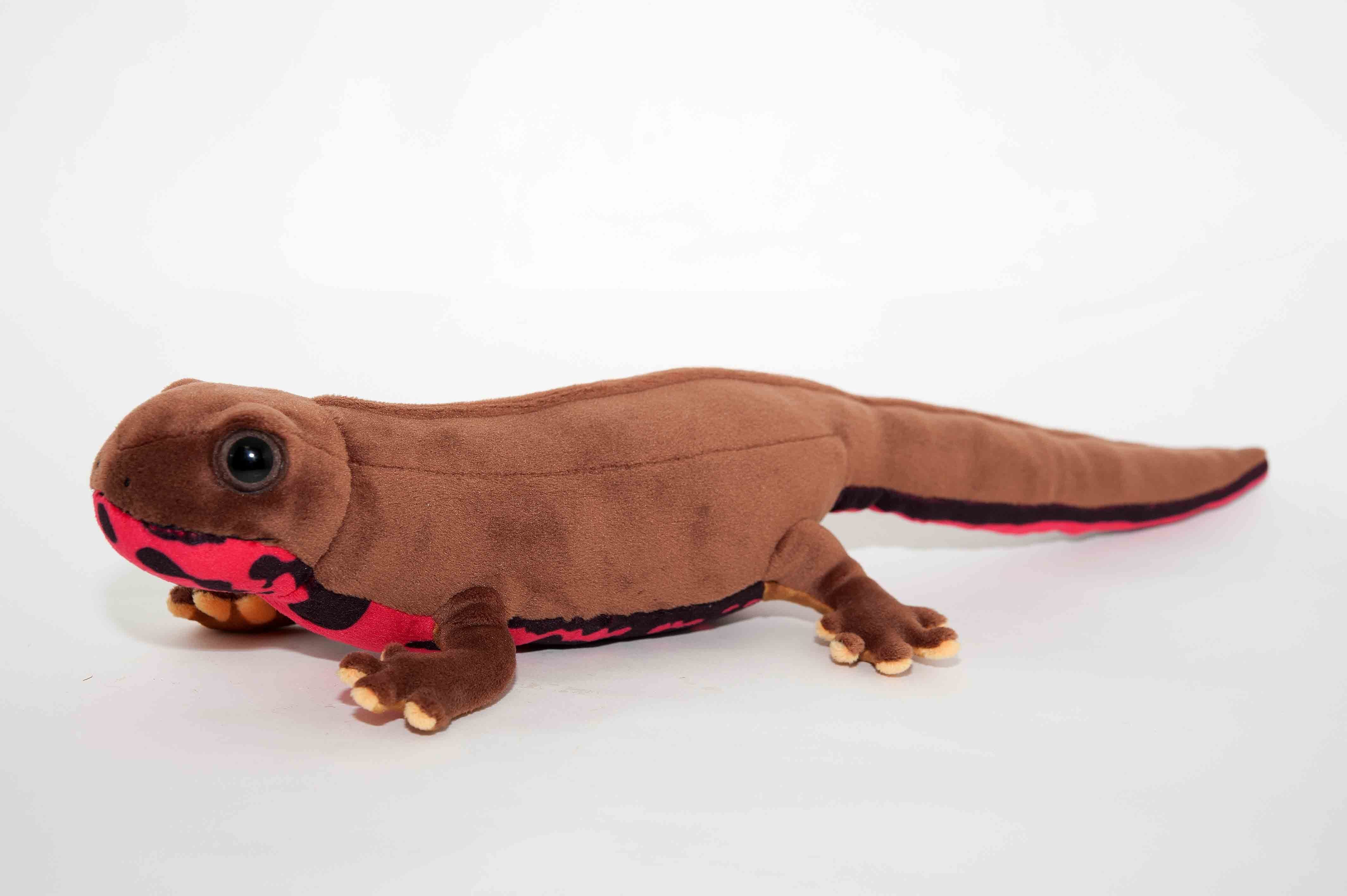 アカハライモリ メス ぬいぐるみ | 日本両棲類研究所