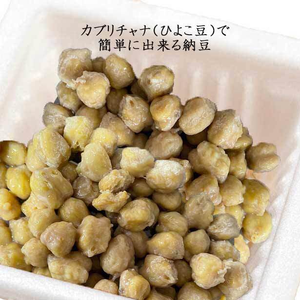 ひよこ豆 （カブリチャナ）kabuli chana 500g インド産 | nideru