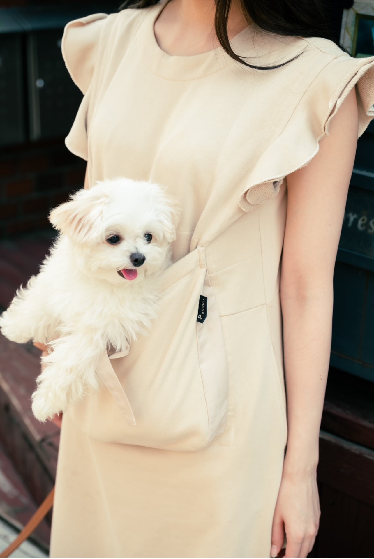 chocolat de vanilla 犬服 水色ストライプ レース裾 chocolat de