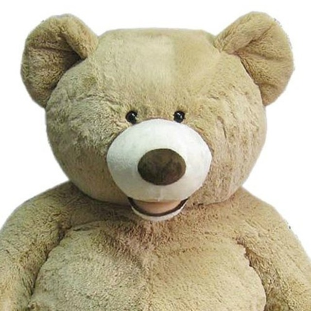 新品 Plush Teddy Bear 135 コストコ くまぬいぐるみ キャメル ニコニコショップ