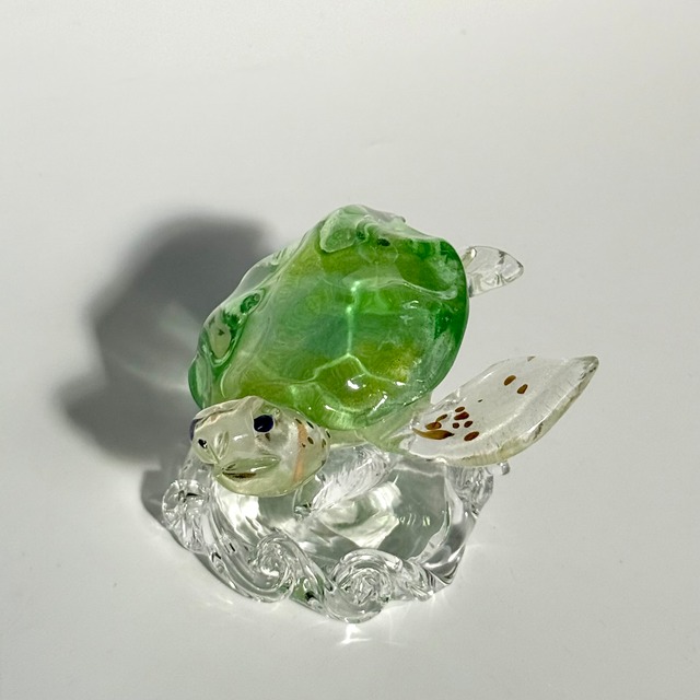 岩沢 達 ウミガメ 2