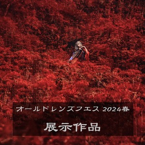 展示作品（OLF2024春06）