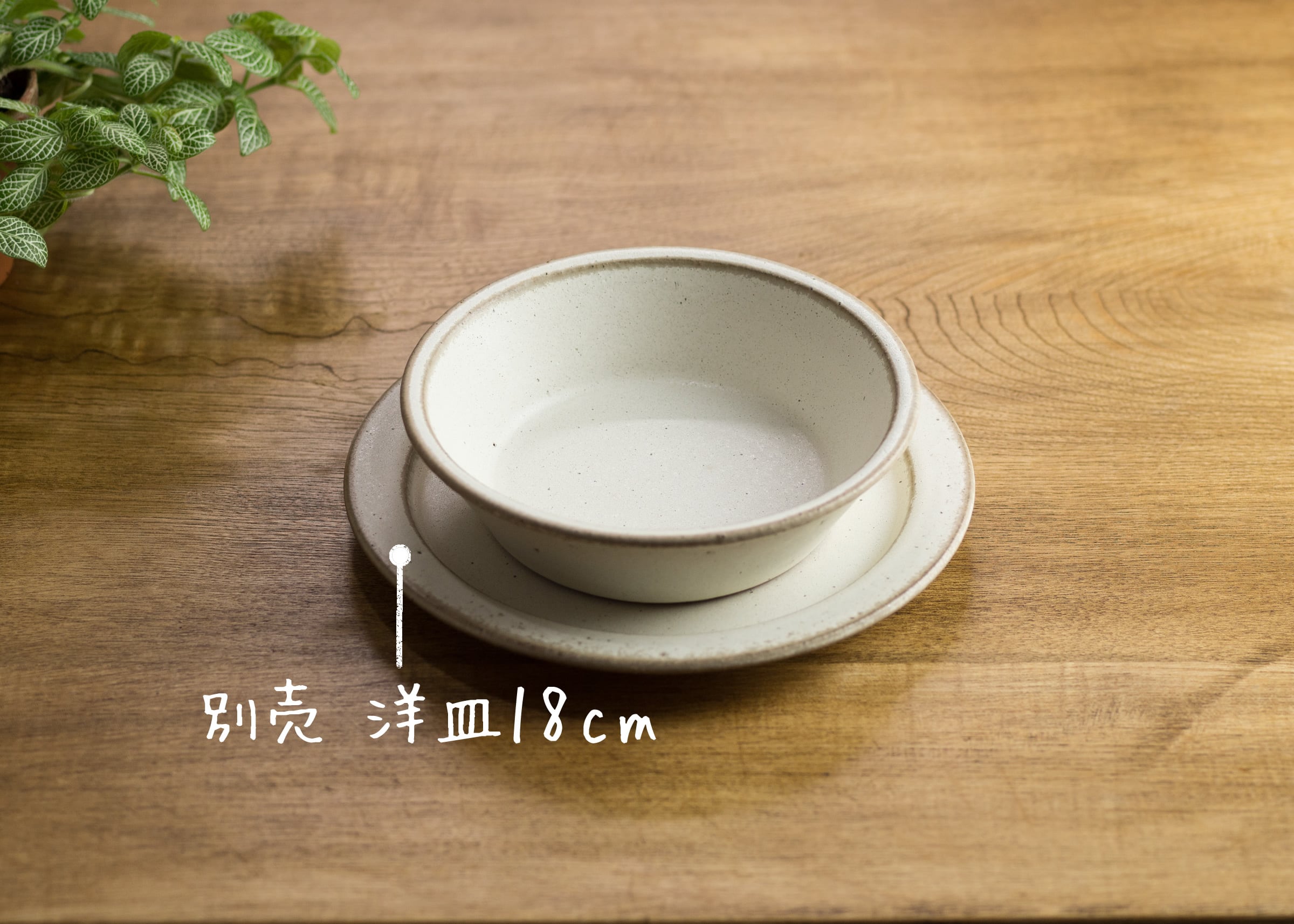 SHIROUMA 浅鉢 15cm 白（シリアルボウル・グラタン皿・耐熱皿