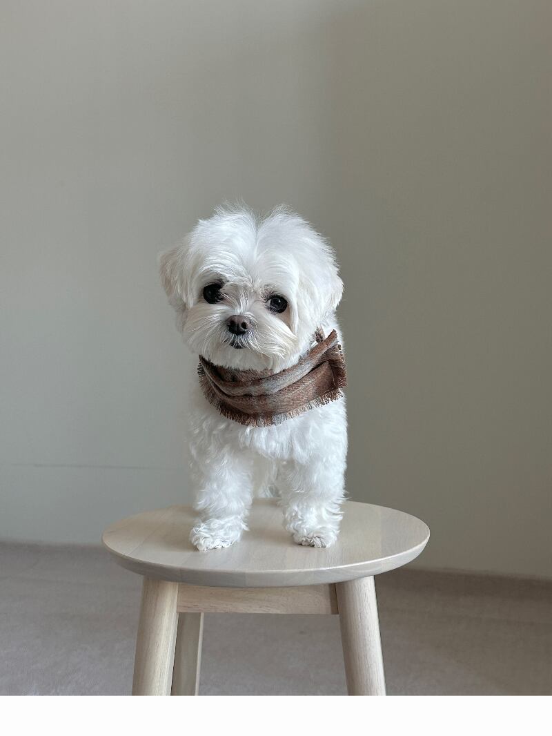 〈予約アイテム〉EYOU / チェックマフラー – Pink