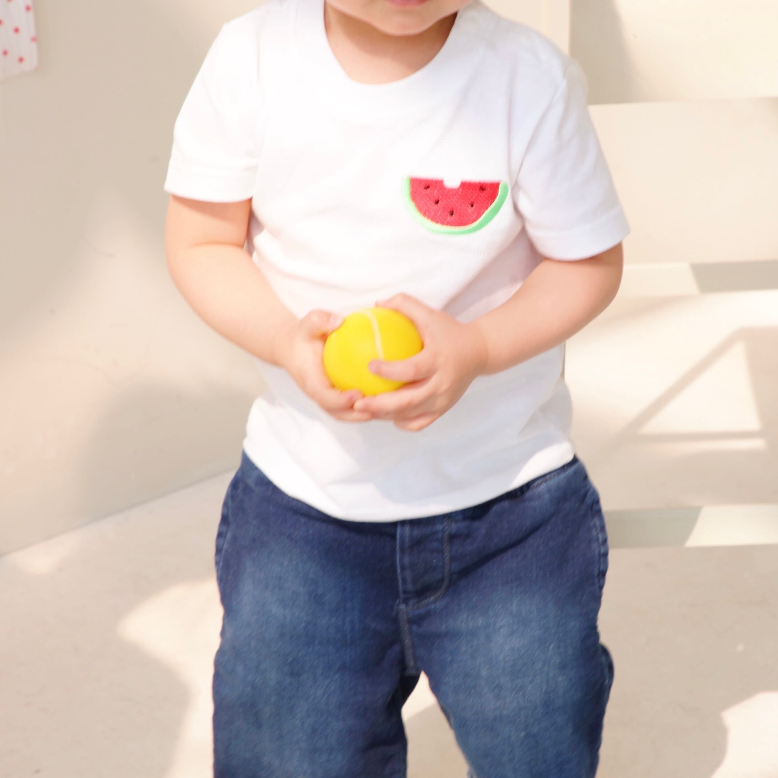 刺繍ベビーtシャツ スイカ Ancho Aya アンチョアヤ オンラインショップ