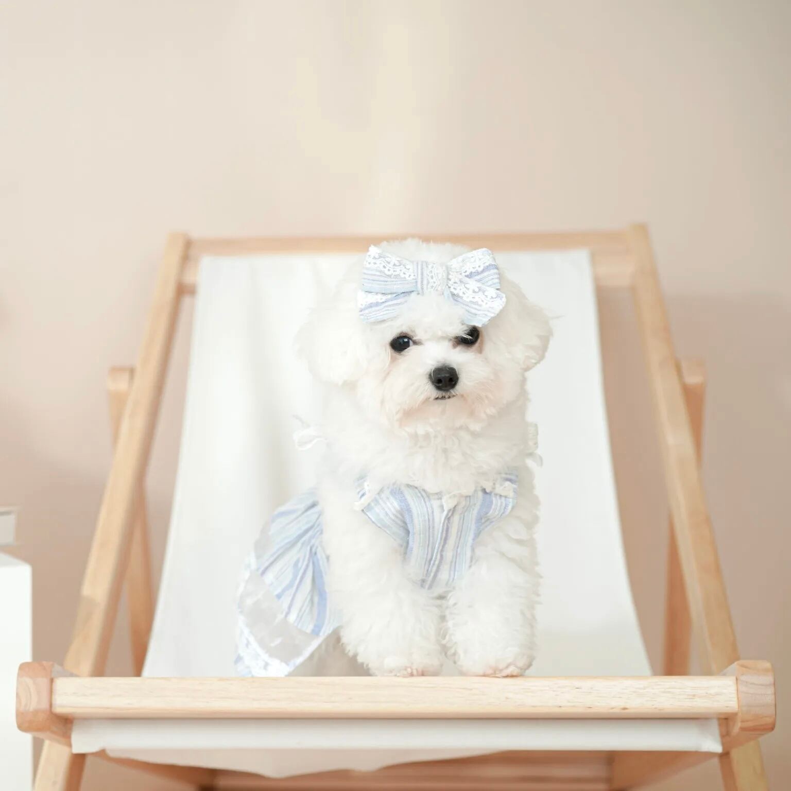 Sunkissed – Pet Dress〈size:XS-M＋〉