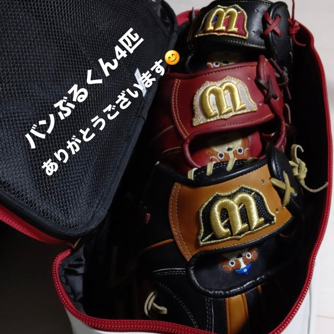 刺繍無料】 Worldpegasus ワールドペガサス グラブケース WEBC2GC