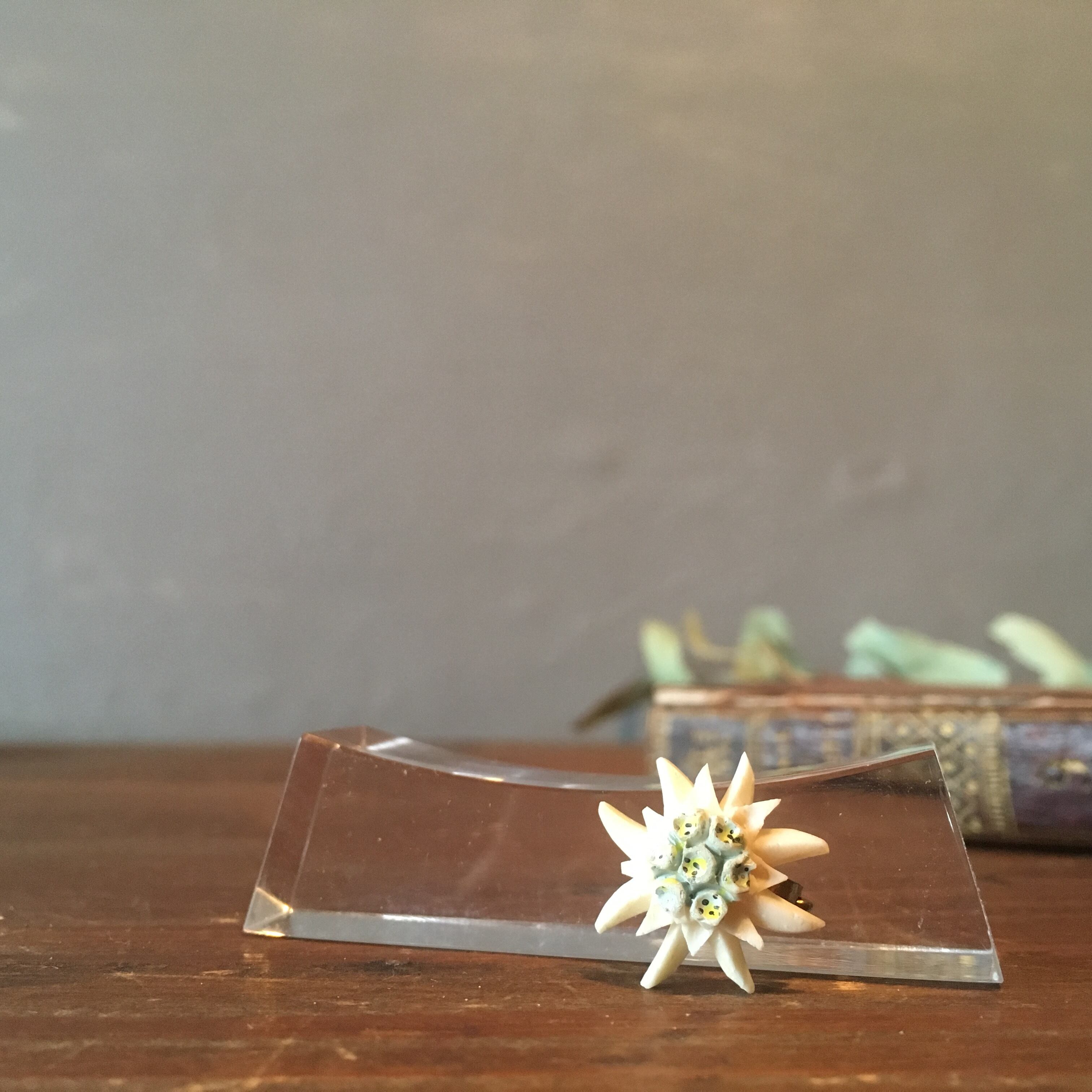 フランス エーデルワイスのアンティークブローチ