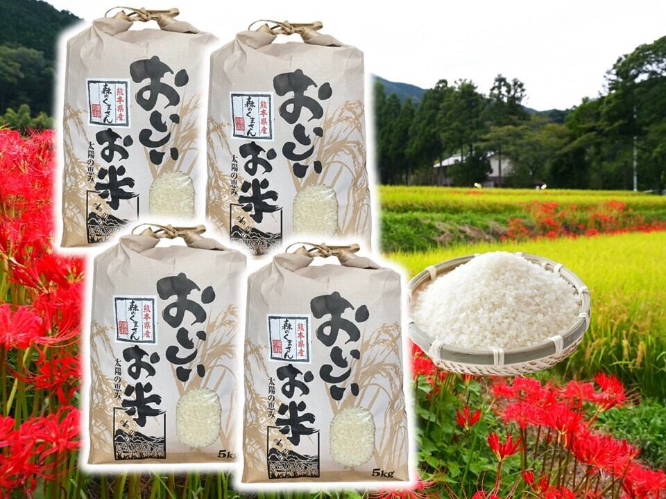 熊本県産お米（森のくまさん）10kg（5㎏×2袋） | すみれ