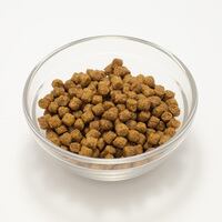 プリンシプル(パピー) ドライドックフード プリンシプル パピー 2.4kg(800g×3) 犬 犬用 フード ドッグフード