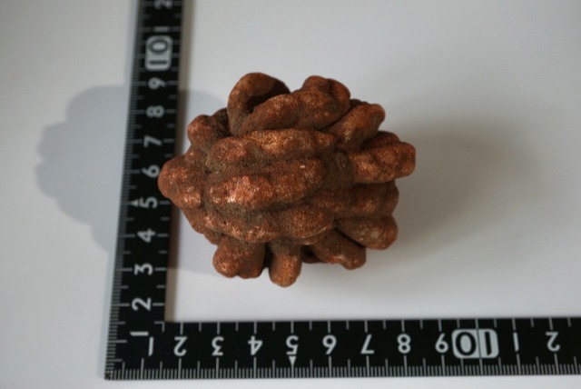 デザートローズ　Desert Rose 1002