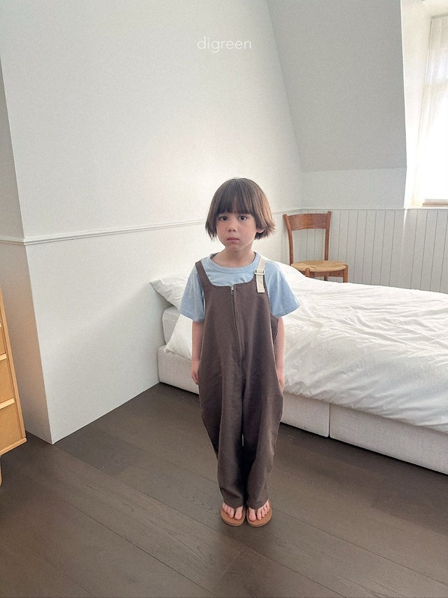 〘予約〙digreen / nova overalls
