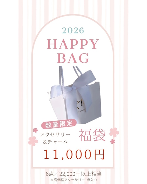 【11,000円／2026 HAPPY BAG】 アクセサリー＆チャーム福袋 6点入り （22,000円以上相当）送料無料！