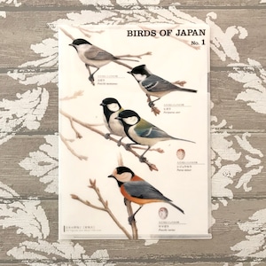 日本の野鳥クリアファイル No.1