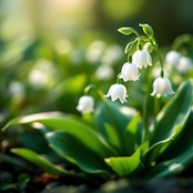 すずらんの香りハンドクリーム|外宮参道COMISEオリジナルデザイン|日本製・しっとりハンドクリーム(50g)