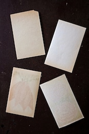 20s フランス 4set 膨満な花々と野菜たち 種子袋用ラベルa アンティーク