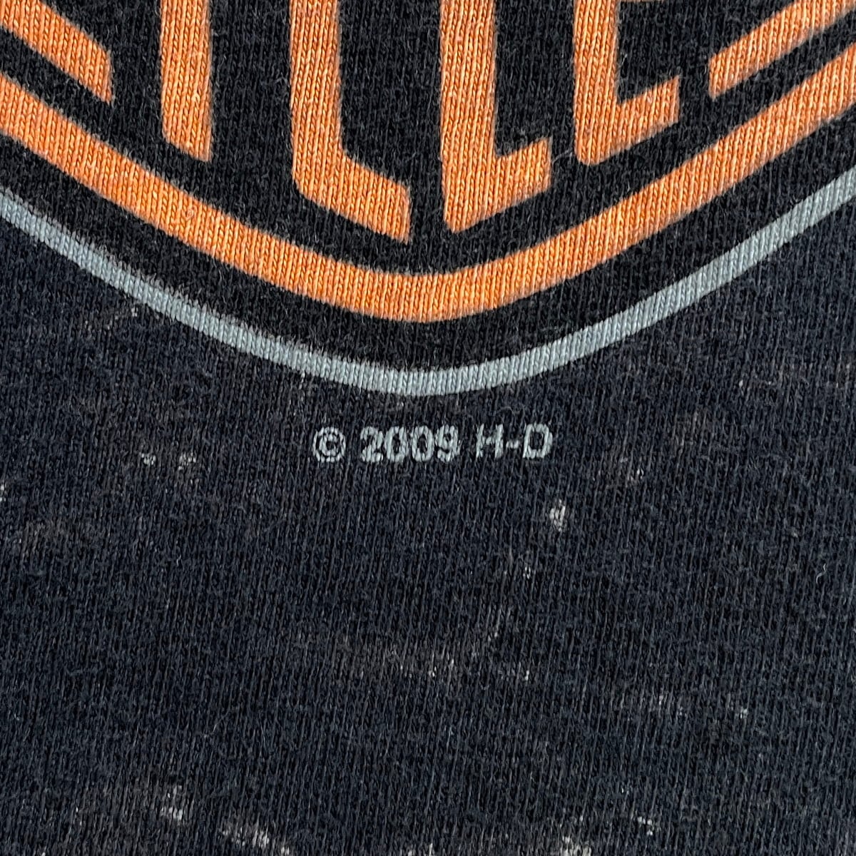 00年代 USA製 Harley-Davidson ハーレーダビッドソン ドラゴンロード