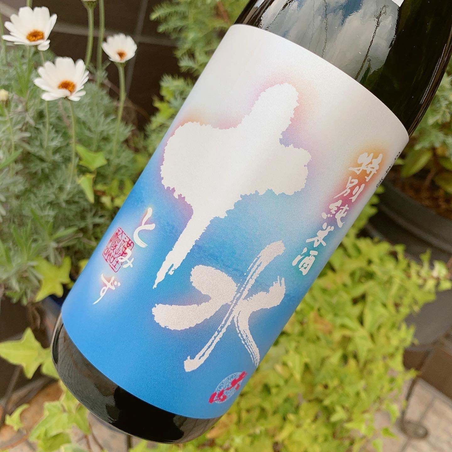季節限定】大山 特別純米酒 夏の十水 720ml | 萬来屋酒店