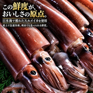 日本海産 肝入り丸干いか 3尾｜添加物不使用・するめいかと塩だけ
