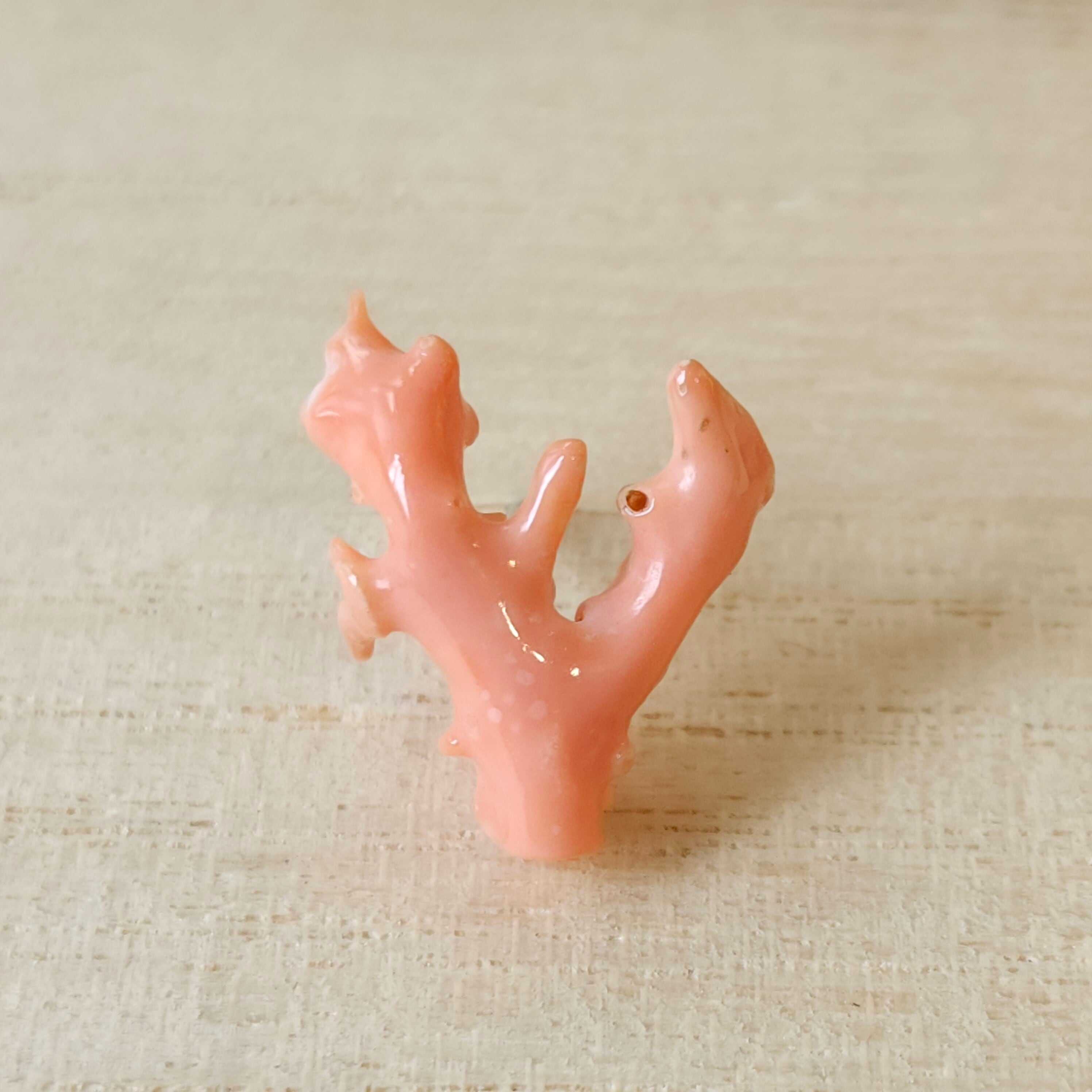 万寿菊 深海珊瑚彫刻ピアス (チタン) 【商品紹介動画が商品説明から