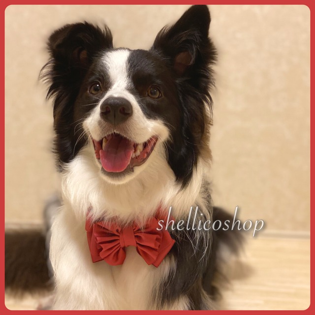 【rose】ボリュームたっぷりリボンチョーカー