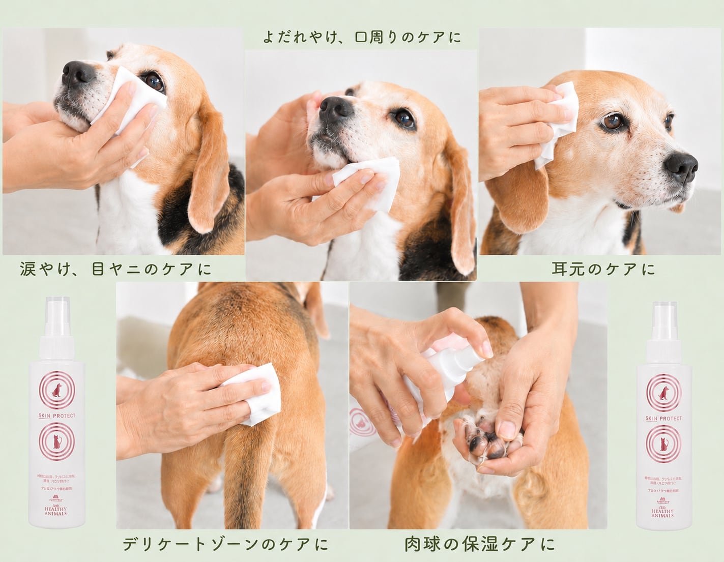 大学との共同研究開発【皮膚ケア・アトピー・マラセチア】アカエゾマツ